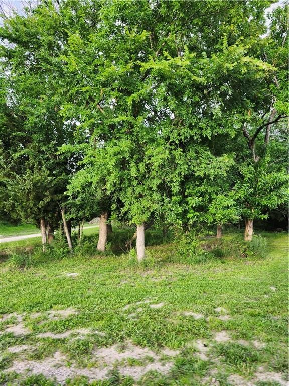 30 Boxelder Drive — photo 7