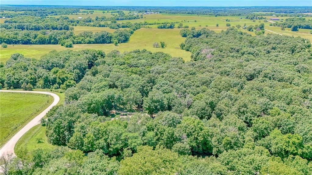 305 SW 600th Road — photo 37