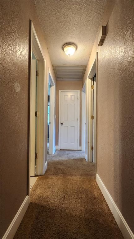 115 SHERRI Lane — photo 11