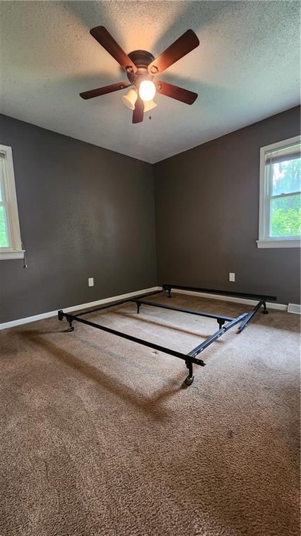 115 SHERRI Lane — photo 12