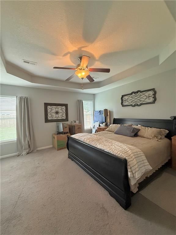 732 Iron Horse Drive — photo 11