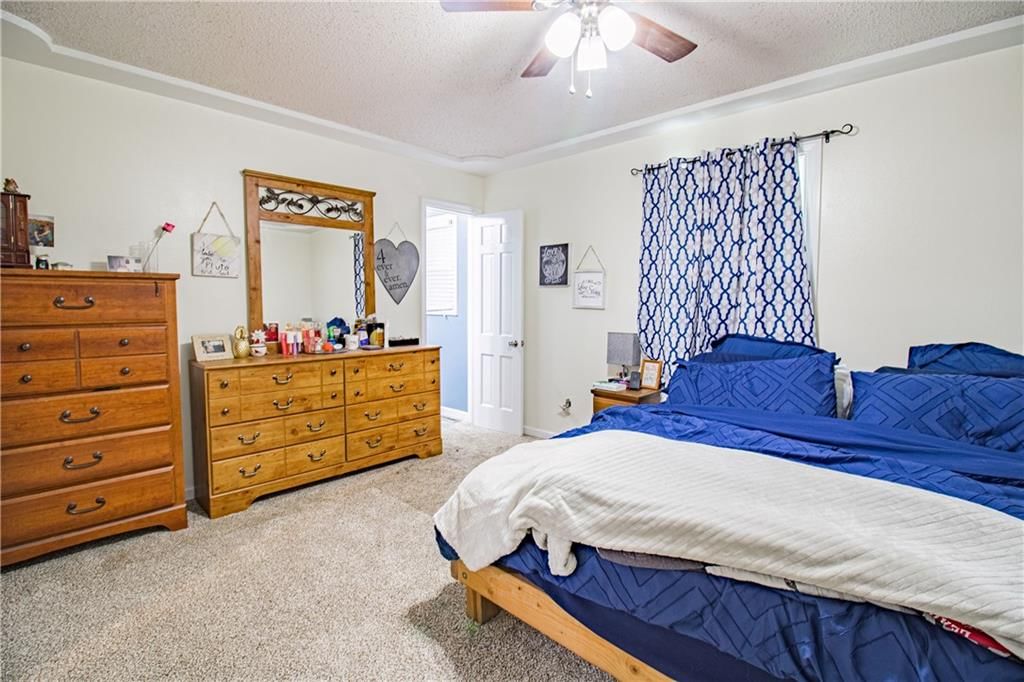 504 Dogwood Drive — photo 13