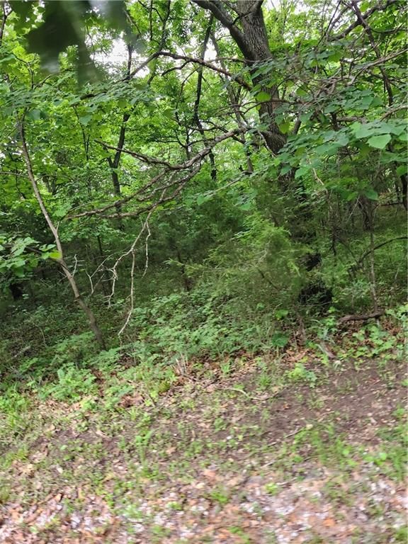 35 Mystic Valley Drive — photo 2