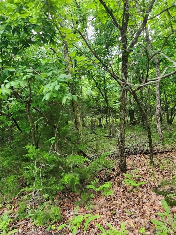 35 Mystic Valley Drive — photo 3