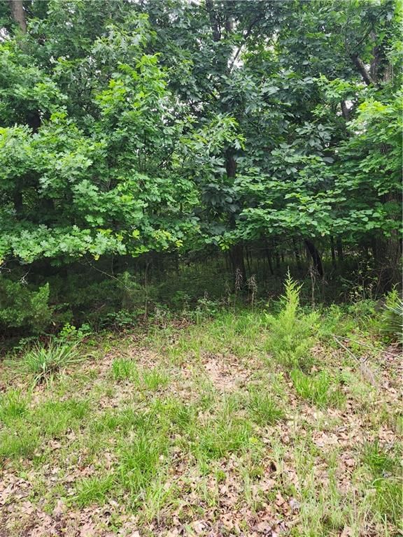 35 Mystic Valley Drive — photo 6