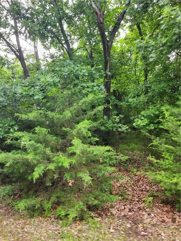 35 Mystic Valley Drive — photo 8