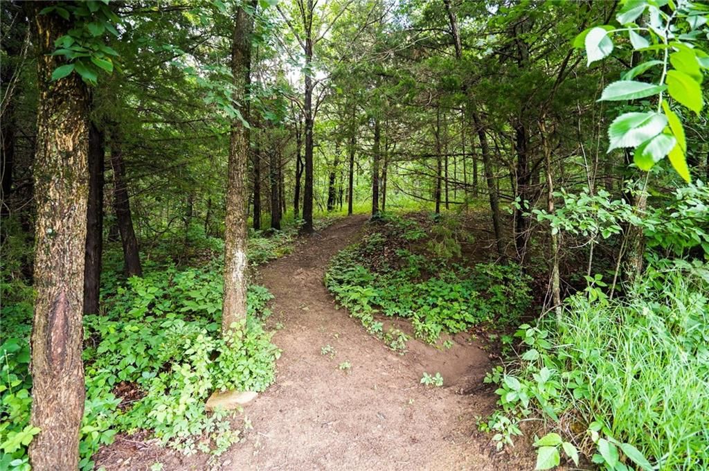3395 Buck Creek Road — photo 35