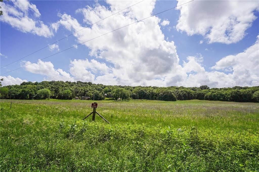 3395 Buck Creek Road — photo 40