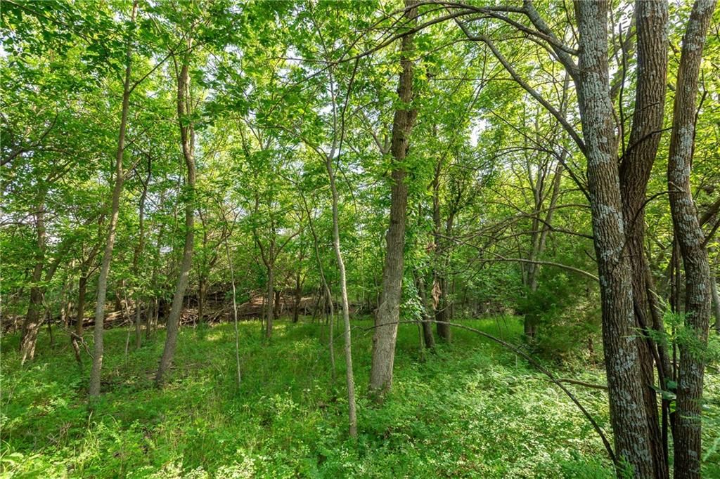 27699 S Hoch Road — photo 81