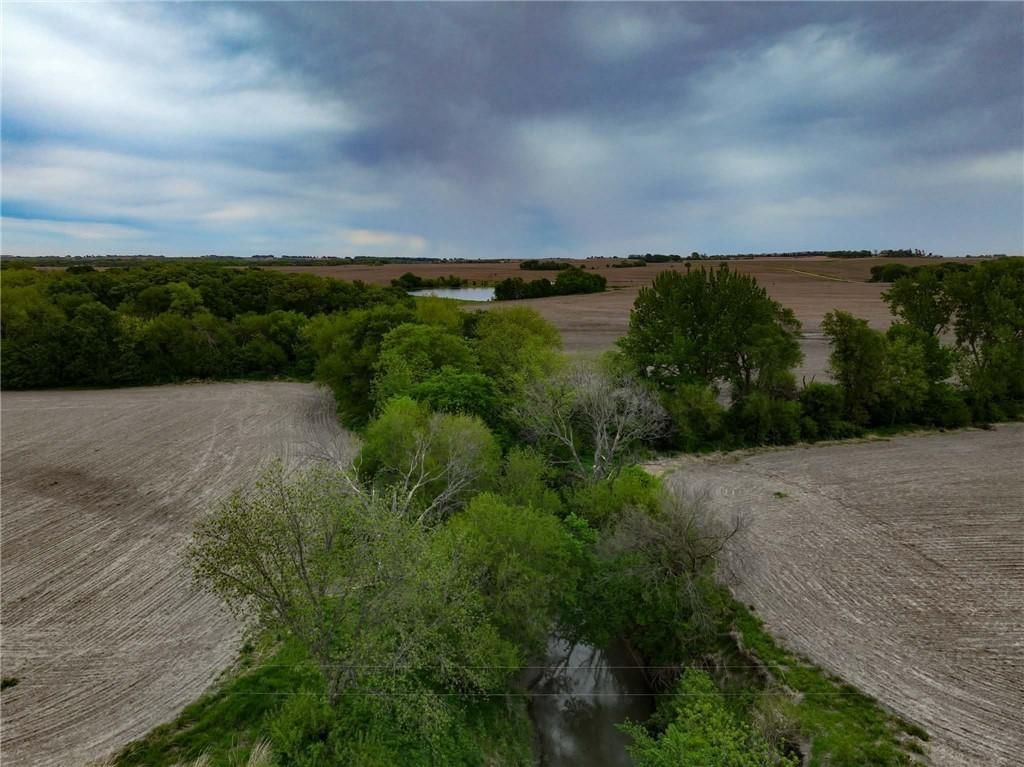 320 th Foxtail Road — photo 4