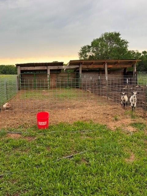 4038 Lee Road — photo 34