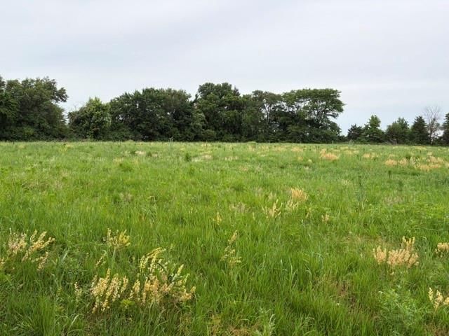 7901 US 159 Highway — photo 36