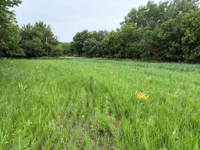 7901 US 159 Highway — photo 37
