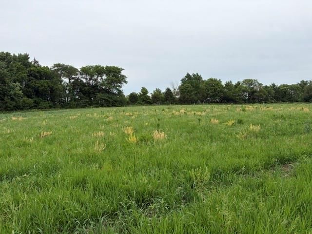 7901 US 159 Highway — photo 38