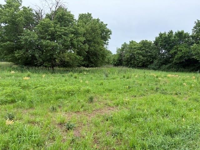 7901 US 159 Highway — photo 41