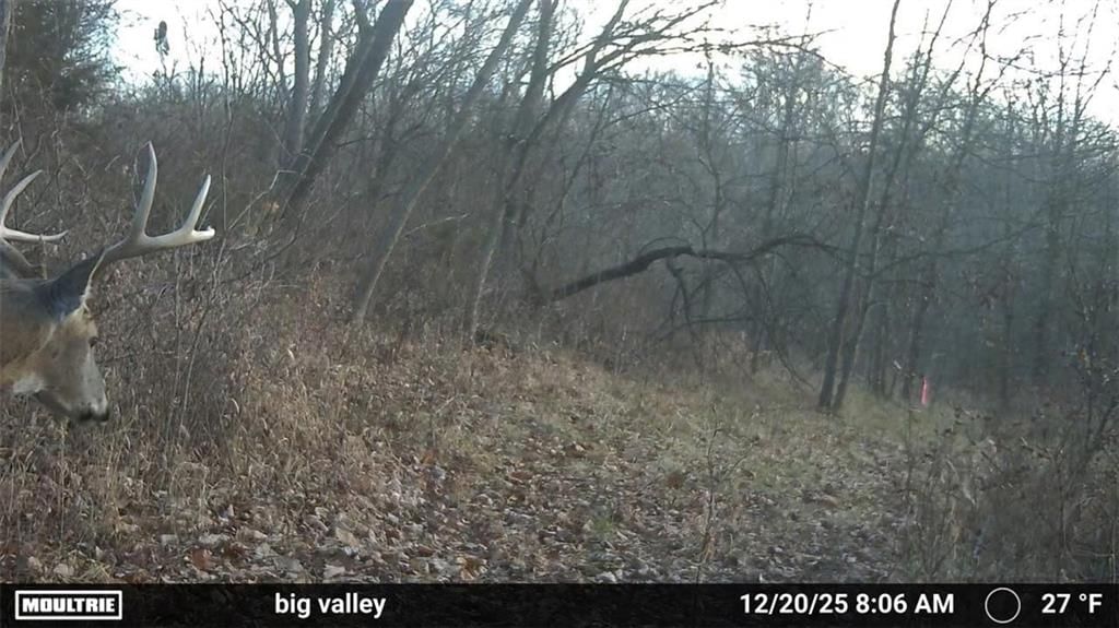 16927 Maddux Road — photo 5