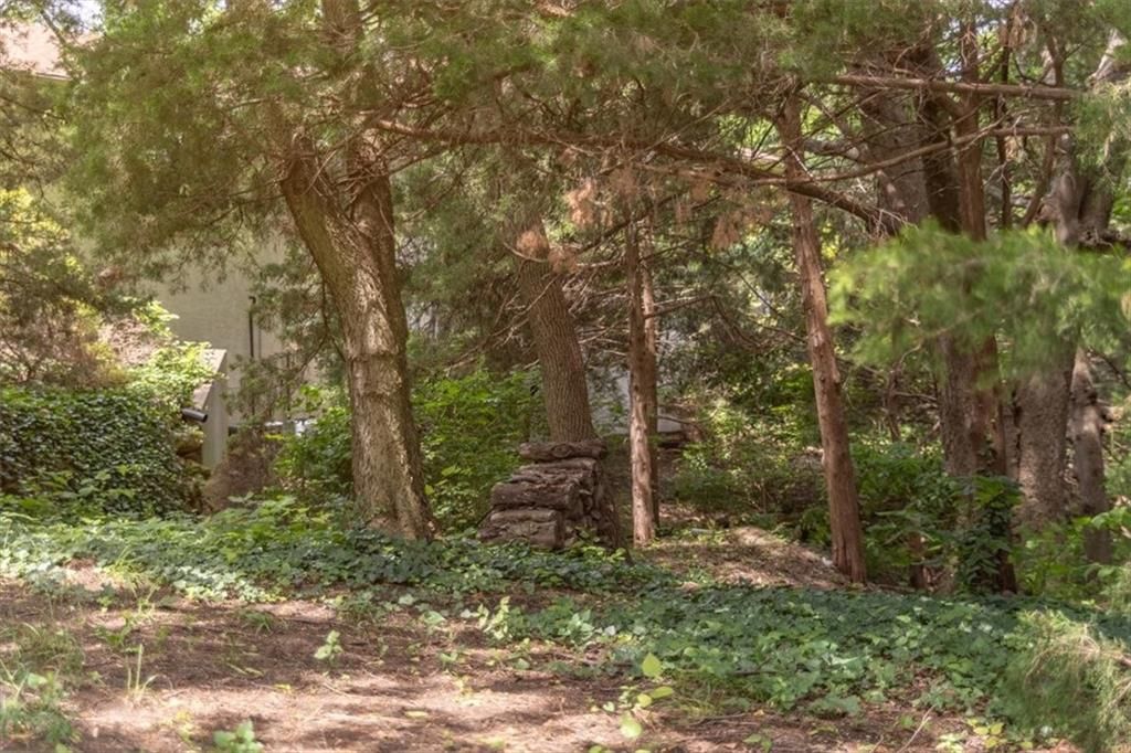 1825 Castle Pine Court — photo 40