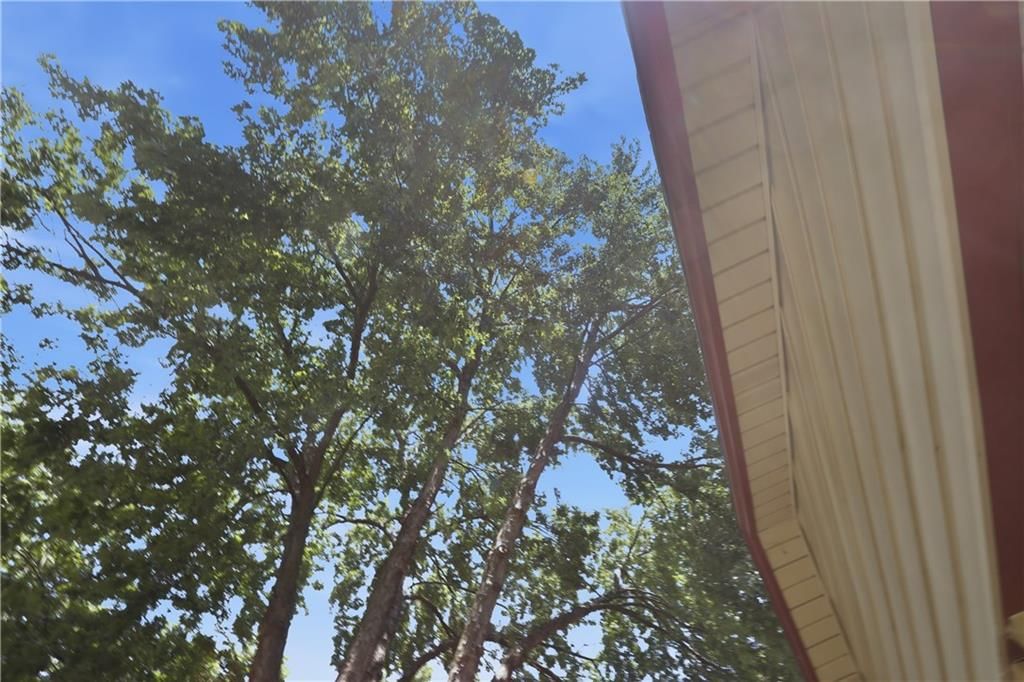 1829 Oakland Avenue — photo 7