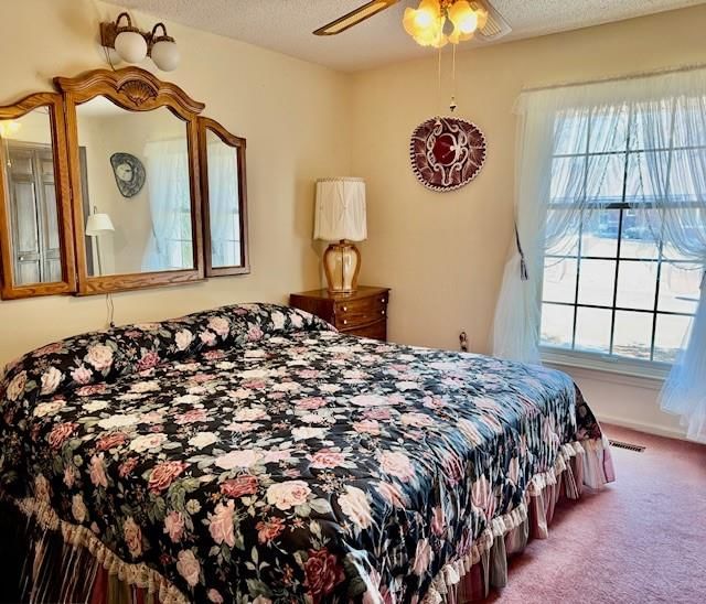 802 E Concord Drive — photo 16