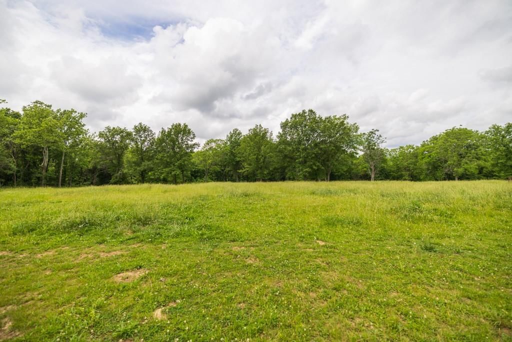 15518 Washington School Road — photo 35