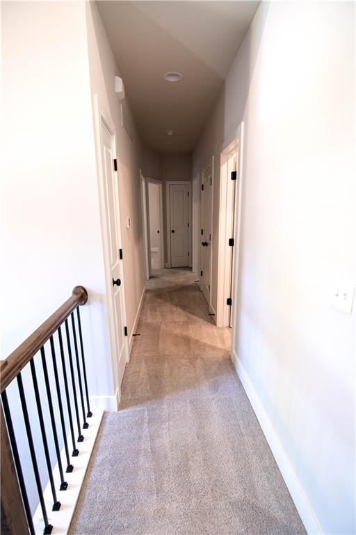 3919 Valley Forge Drive — photo 13
