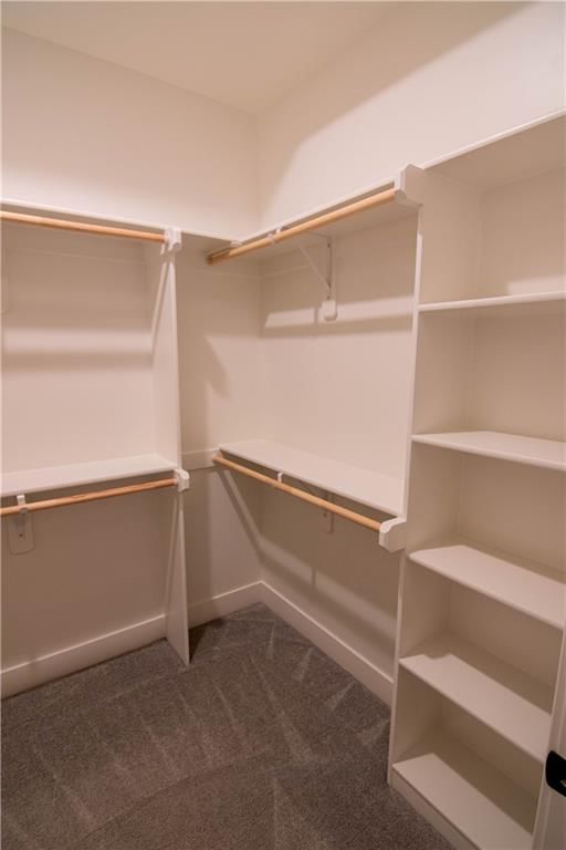 3919 Valley Forge Drive — photo 24