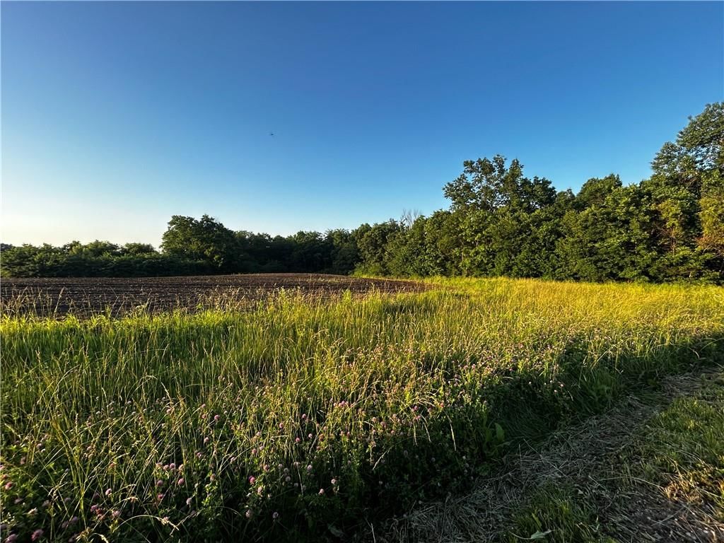 252 SW 601st rd, Centerview, MO