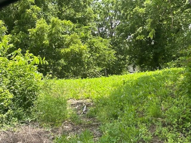 3947 Norton Avenue, Kansas City, MO: listing photo 2