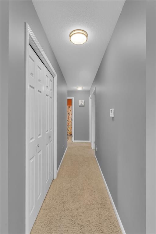 4213 Goldfield Street — photo 23