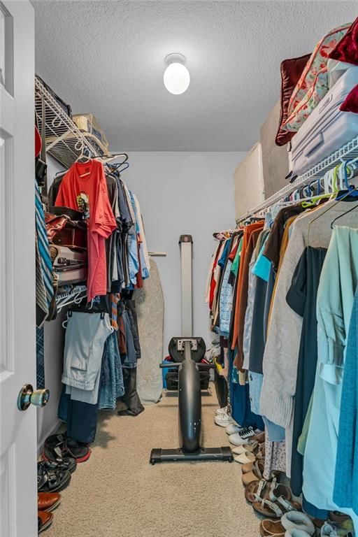 4213 Goldfield Street — photo 35
