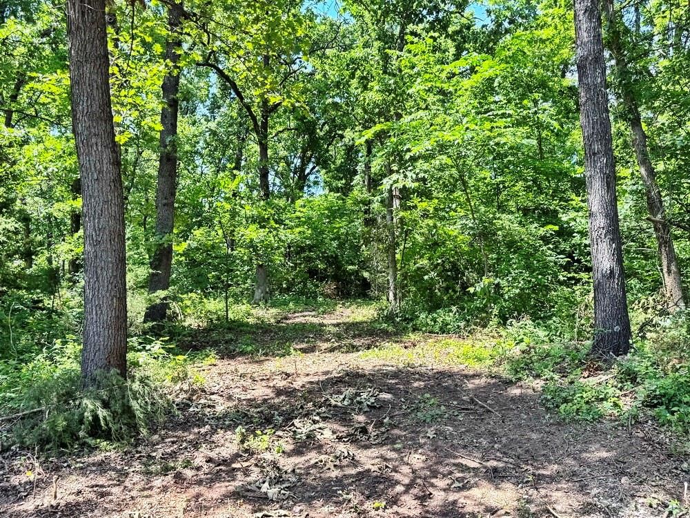 TBD1 E 1550 Road — photo 4