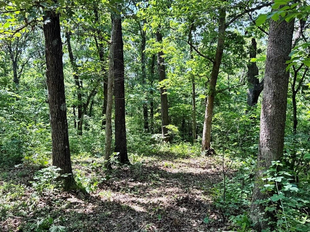 TBD1 E 1550 Road — photo 10