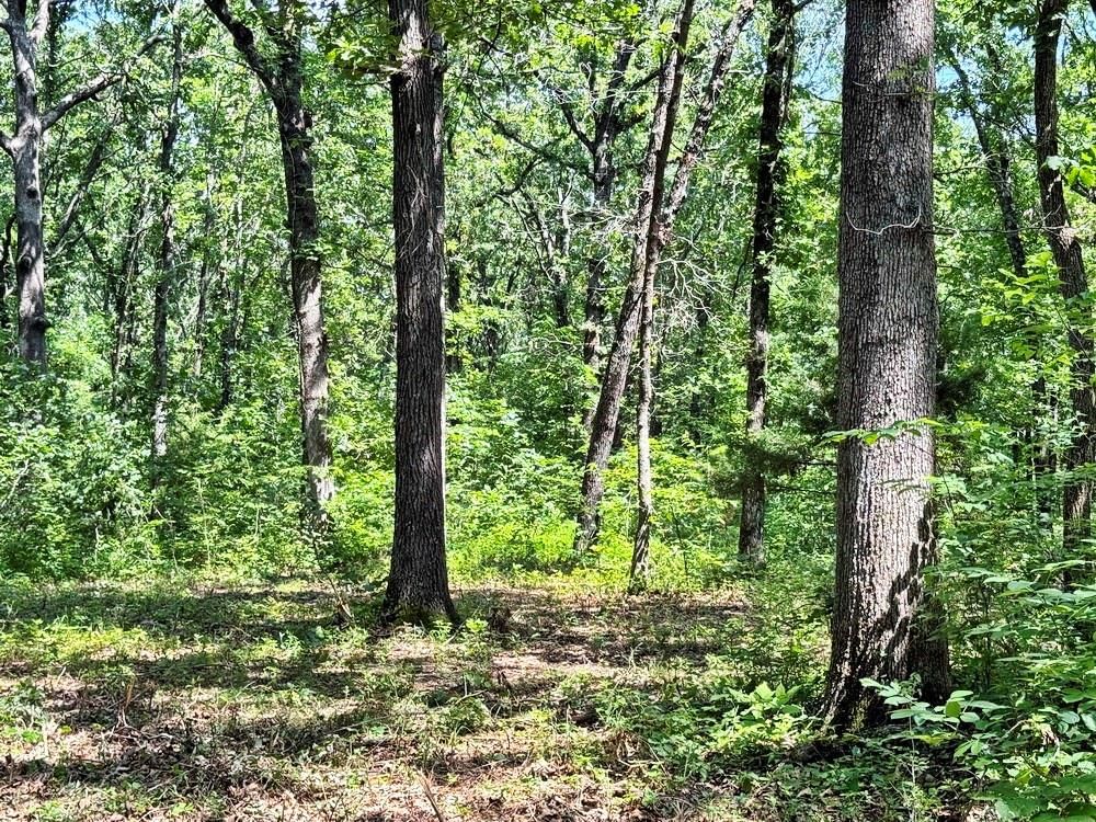 TBD1 E 1550 Road — photo 13