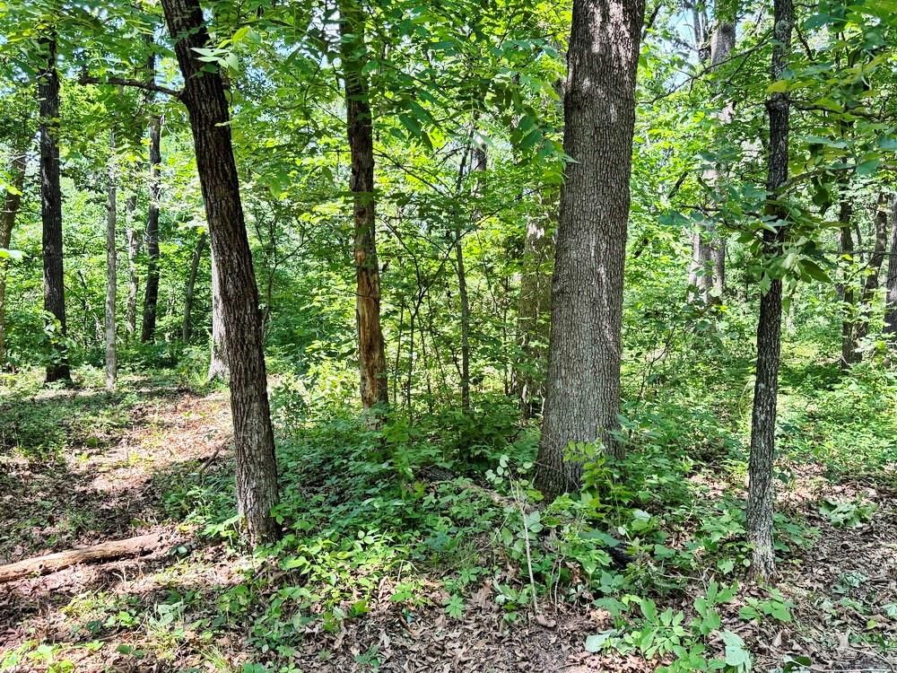 TBD1 E 1550 Road — photo 14
