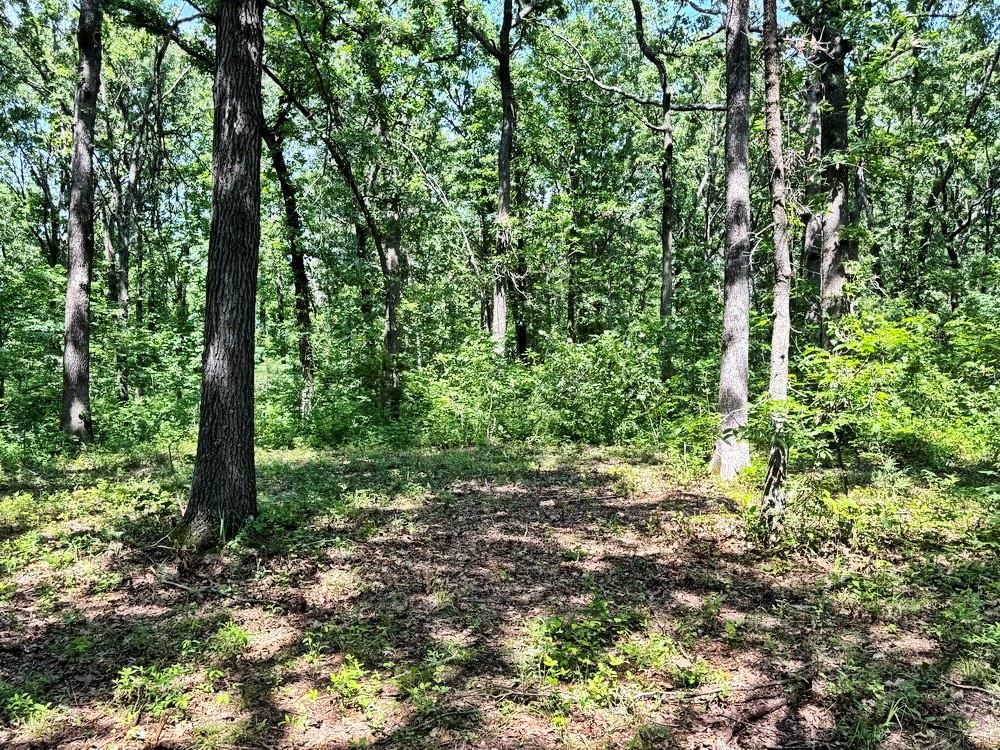 TBD1 E 1550 Road — photo 16