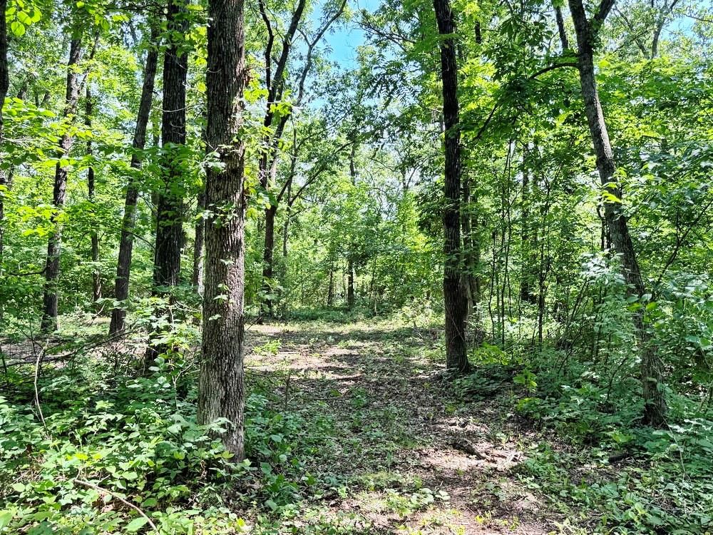 TBD1 E 1550 Road — photo 18