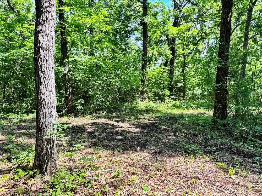 TBD1 E 1550 Road — photo 19