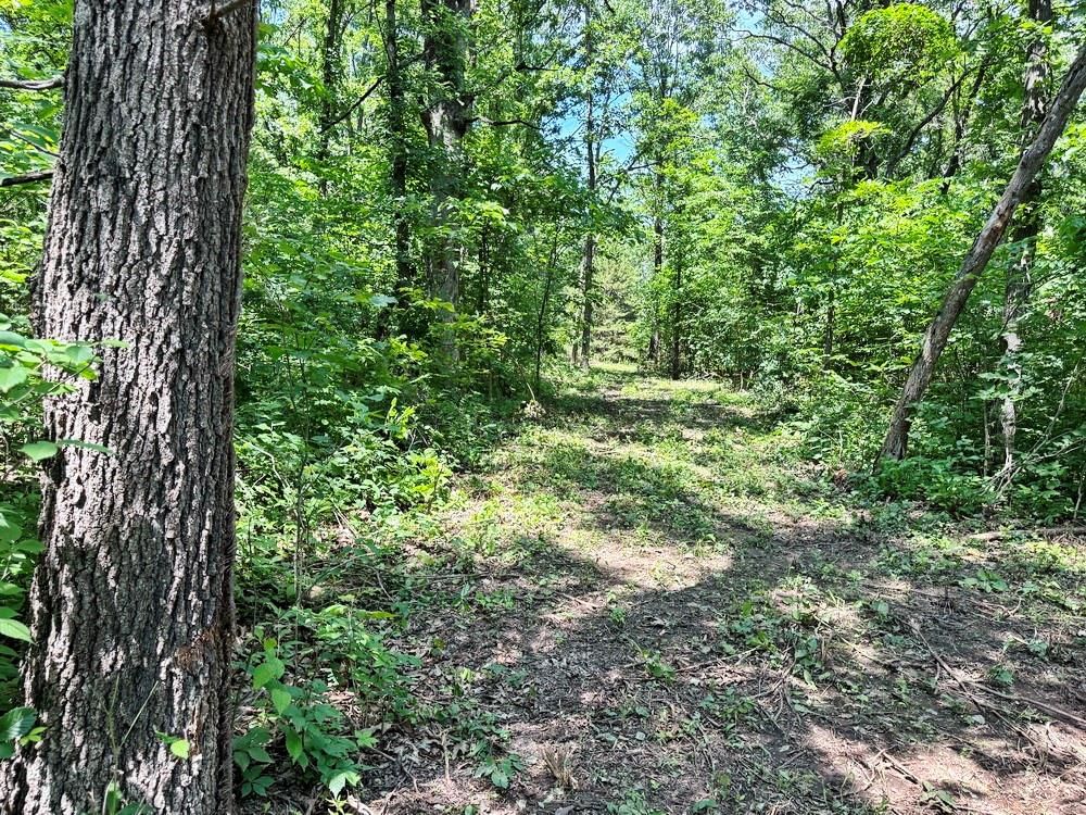 TBD3 E 1550 Road — photo 11