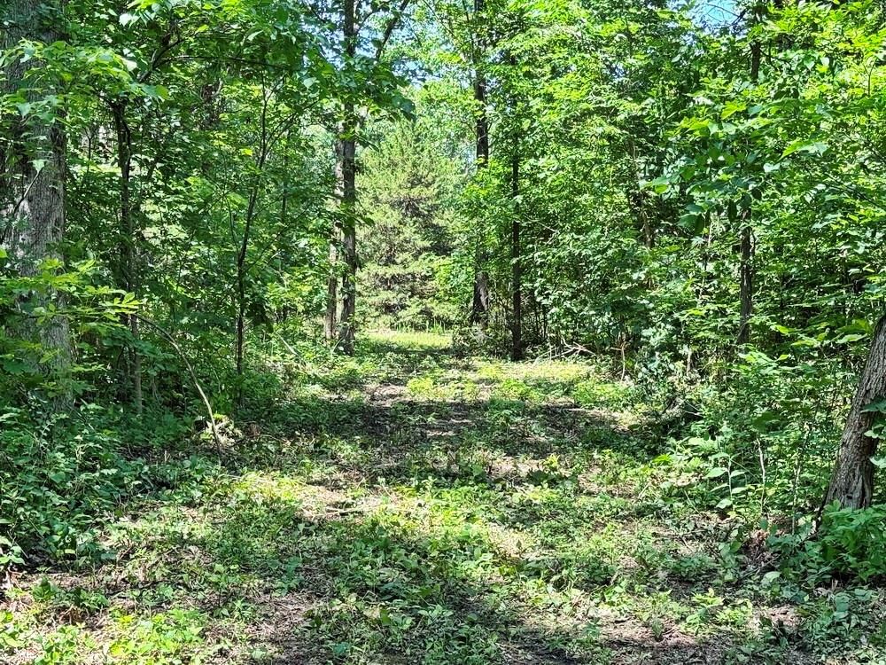TBD3 E 1550 Road — photo 12