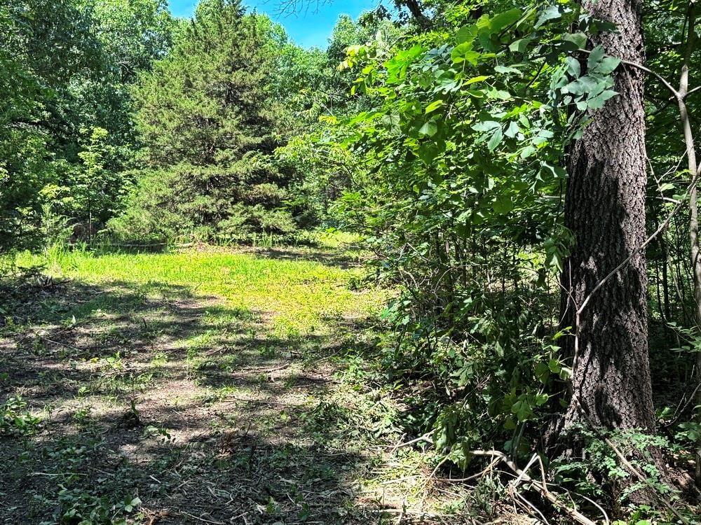 TBD3 E 1550 Road — photo 14