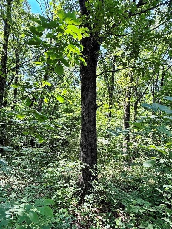 TBD3 E 1550 Road — photo 15
