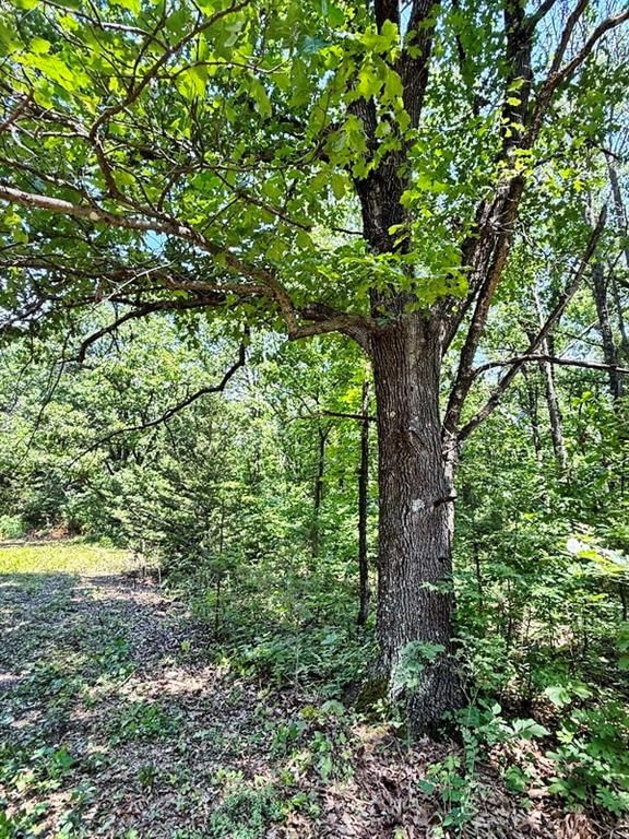 TBD3 E 1550 Road — photo 17