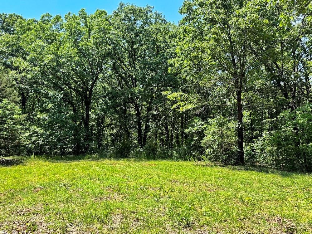 TBD3 E 1550 Road — photo 23