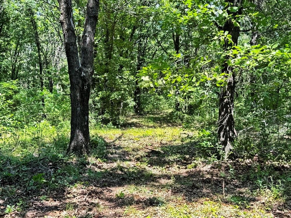 TBD3 E 1550 Road — photo 24