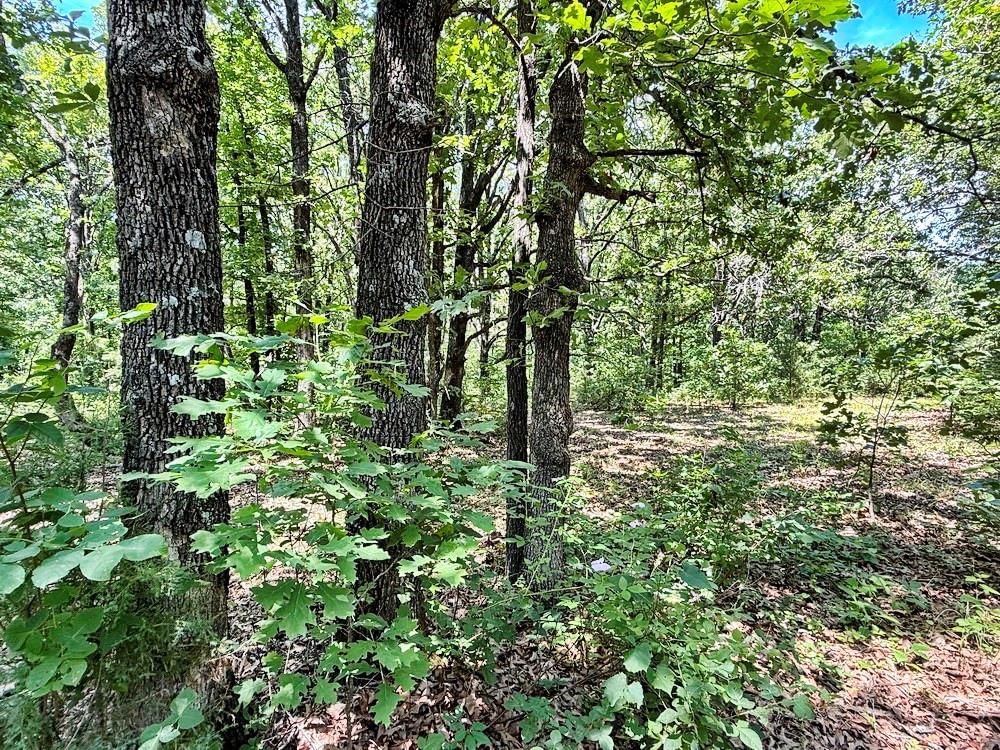 TBD3 E 1550 Road — photo 26