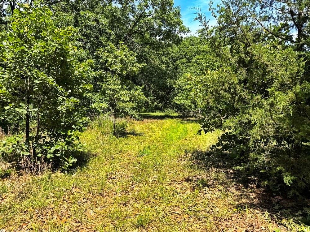 TBD3 E 1550 Road — photo 29