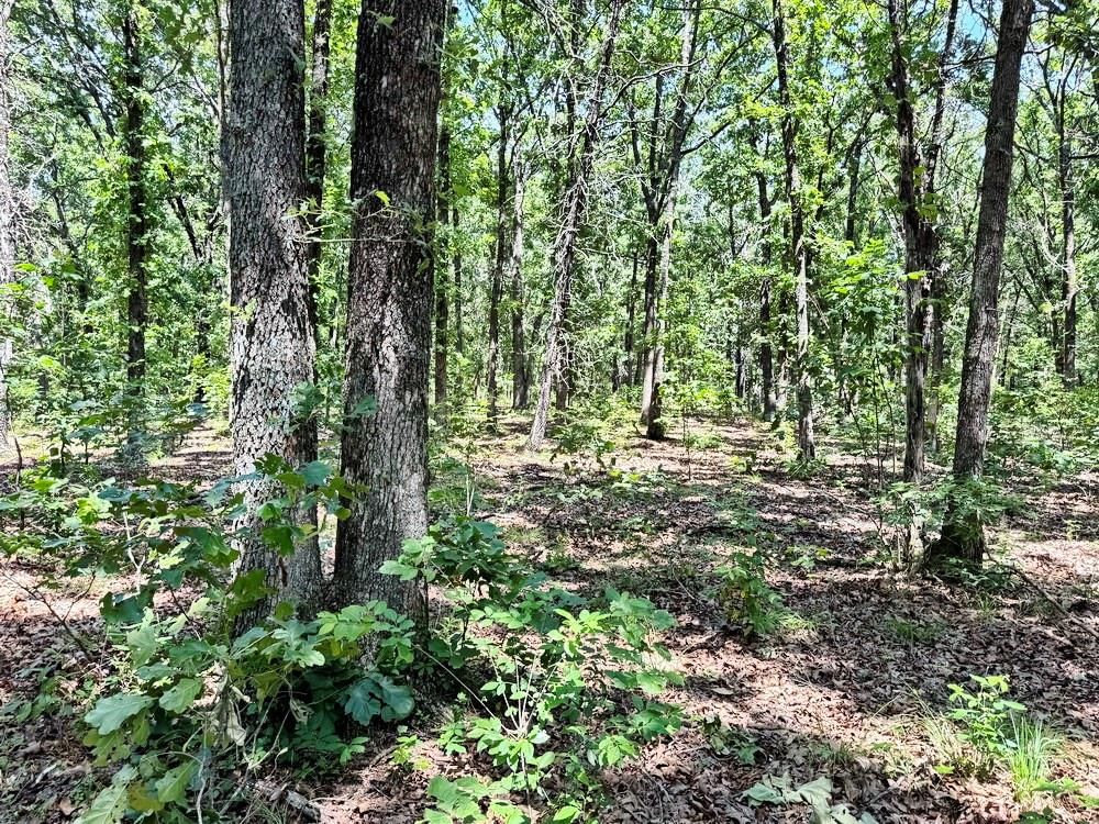TBD3 E 1550 Road — photo 32