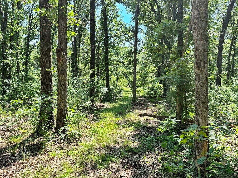 TBD3 E 1550 Road — photo 35