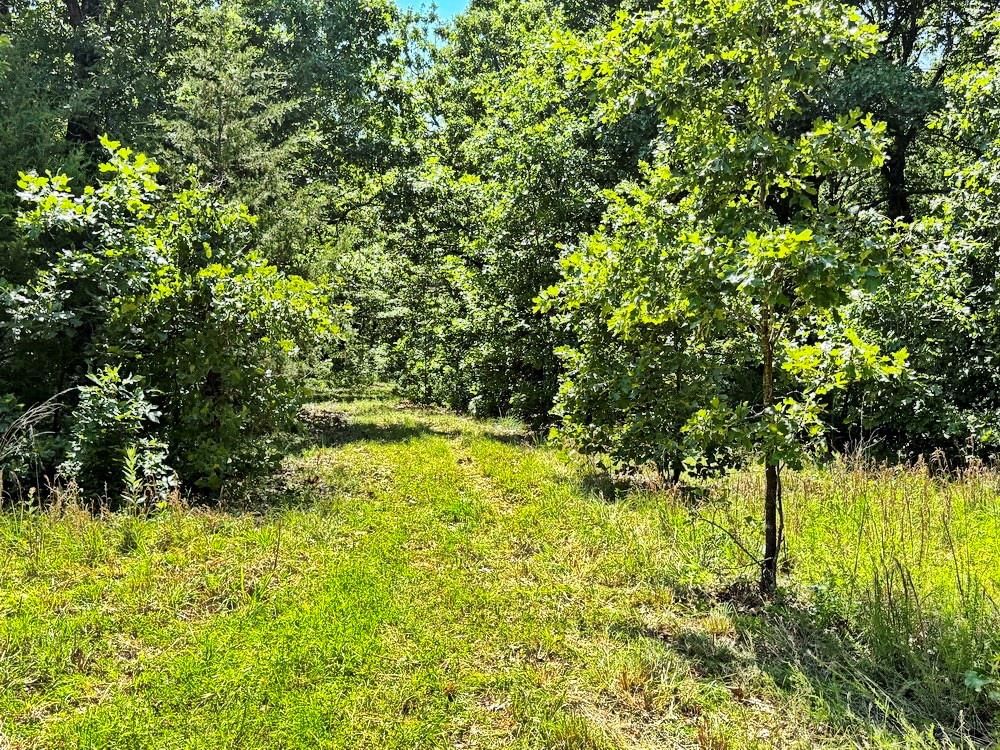 TBD3 E 1550 Road — photo 36