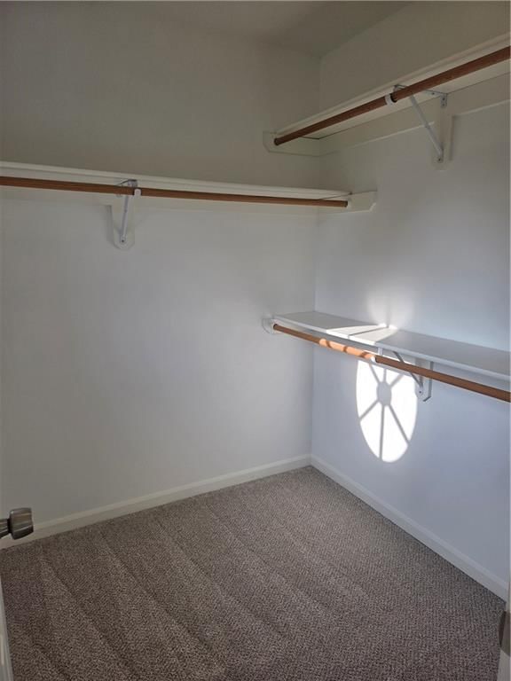 7024 Constance Street — photo 47